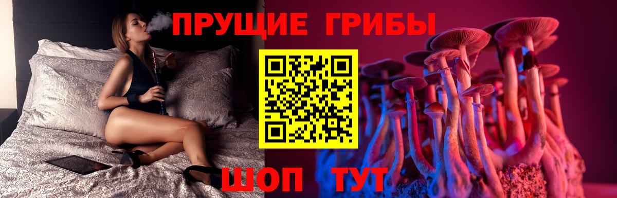 Галлюциногенные грибы Psilocybe  Вход с VPN  Сочи  Псилоцибиновые грибы мухоморы 
